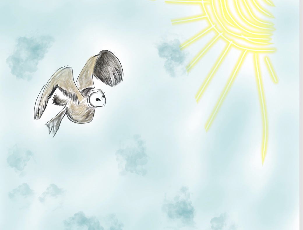 BEHIND SILENCE, AN UNTOLD STORY OF INTERDEPENDENCE - Cafh