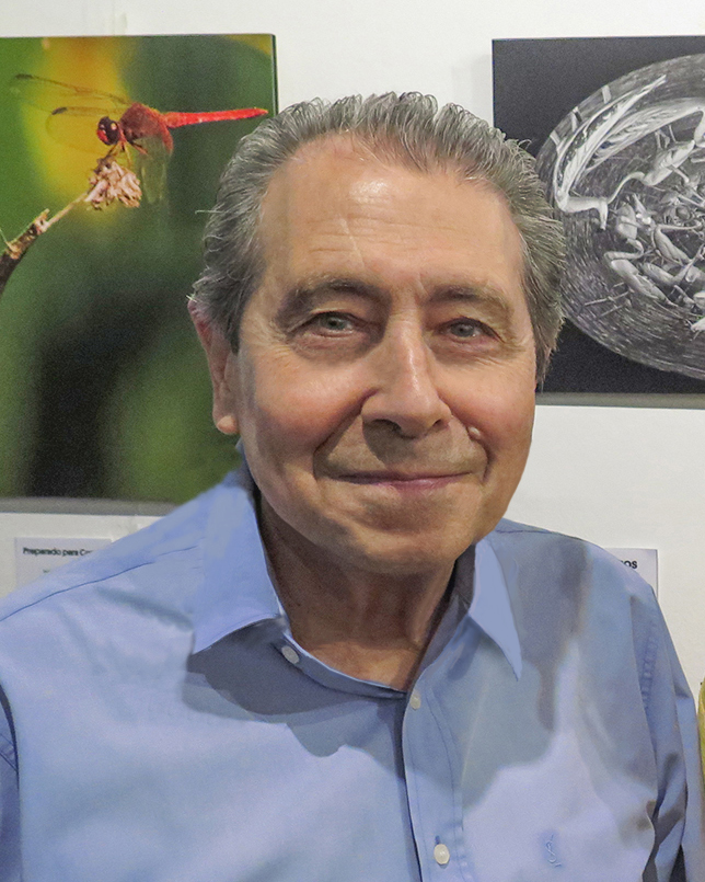 Picture of Daniel Santise